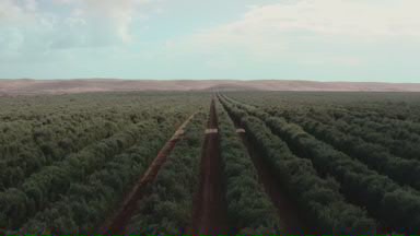 View video